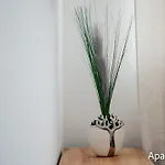 Tia *